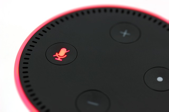 Amazon echo(Dot/無印/Plus)リクエストから招待そして購入までの道のり!